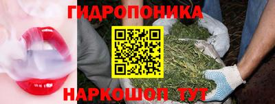 индика Жуковский