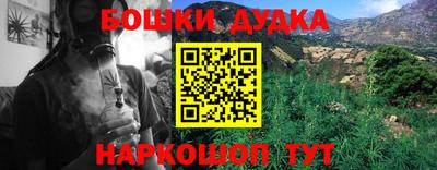 индика Жуковский