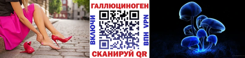 Псилоцибиновые грибы мухоморы Курчатов