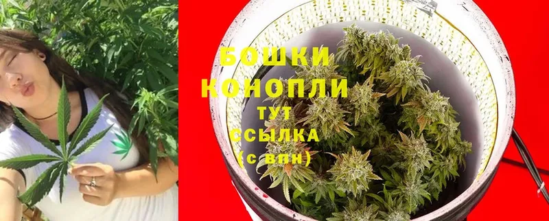 Марихуана OG Kush  мега ТОР  Курчатов  цены наркотик 